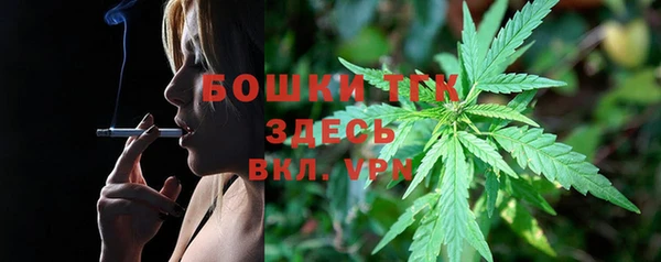 гидропоника Дмитриев
