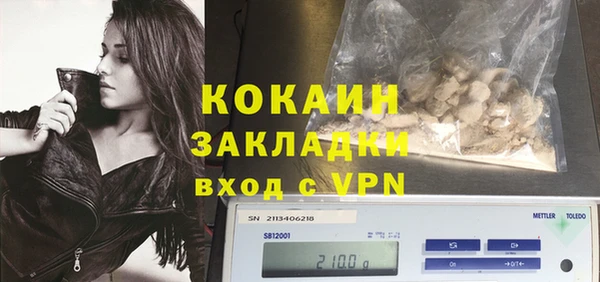 гидропоника Дмитриев